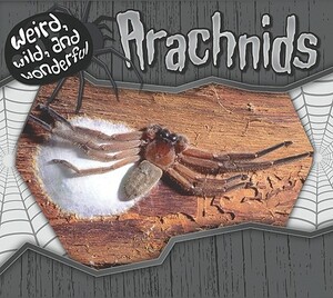 Arachnids by Julie Murphy