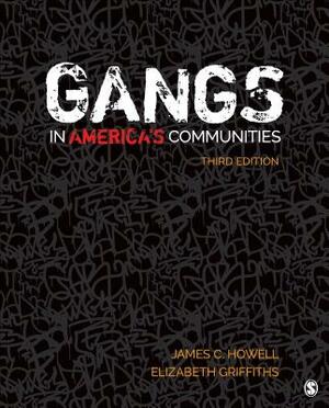 Gangs in America's Communities by James C. Howell, Elizabeth A. Griffiths