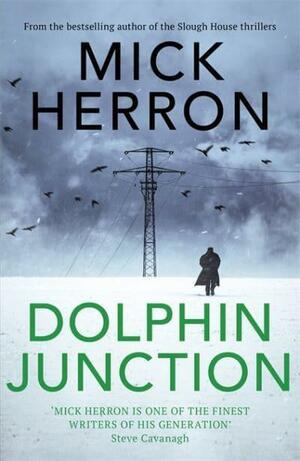Dolphin junction by Mick Herron