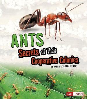 Ants: Secrets of Their Cooperative Colonies by Karen Latchana Kenney