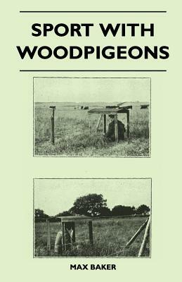 Sport With Woodpigeons by Max Baker