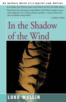 In the Shadow of the Wind by Luke Wallin
