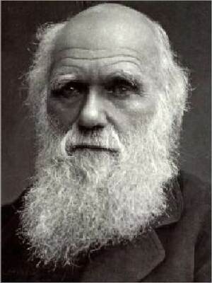 The Power of Movement in Plants (Works 27) by Charles Darwin