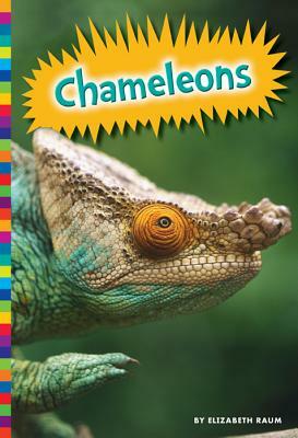 Chameleons by Elizabeth Raum