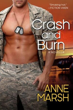 Crash and Burn by Anne Marsh