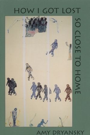 How I Got Lost So Close to Home by Amy Dryansky