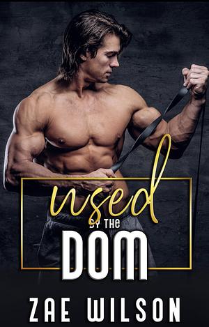 Used By The Dom: MM BDSM First Time Age Gap by Zae Wilson