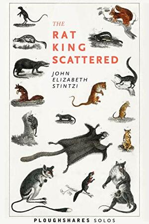 The Rat King Scattered by John Elizabeth Stintzi