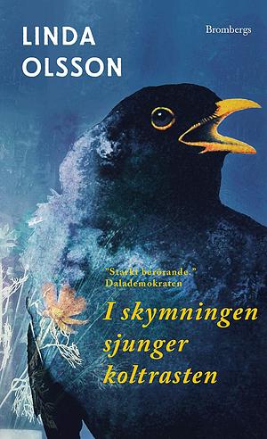 I skymningen sjunger koltrasten: en roman by Linda Olsson