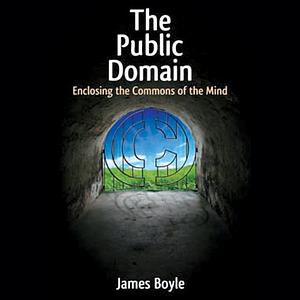 The Public Domain: Enclosing the Commons of the Mind by James Boyle