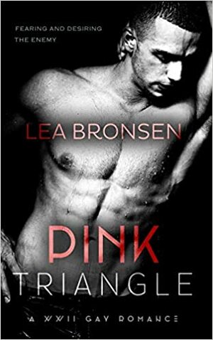 Pink Triangle by Lea Bronsen