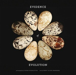 Evidence of Evolution by Mary Ellen Hannibal