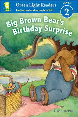 Big Brown Bear's Birthday Surprise by David M. McPhail