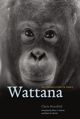 Wattana: An Orangutan in Paris by Chris Herzfeld