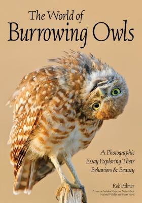 The World of Burrowing Owls: A Photographic Essay Exploring Their Behaviors & Beauty by Rob Palmer