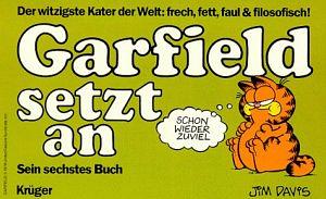 Garfield: setzt an by Jim Davis