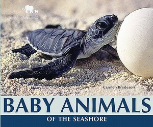 Baby Animals of the Seashore by Carmen Bredeson