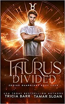 Divided by Tricia Barr, Tamar Sloan