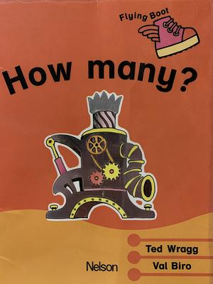 How many? by Ted Wragg, Val Biro