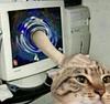 larisa_maria's profile picture
