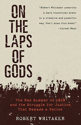 On the Laps of Gods: The Red Summer of 1919 and the Struggle for Justice That Remade a Nation by Robert Whitaker