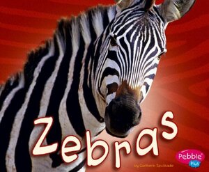 Zebras by Catherine Ipcizade