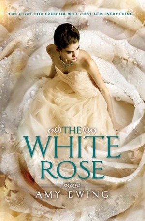 The White Rose by Sara Rajaiefar, Amy Ewing