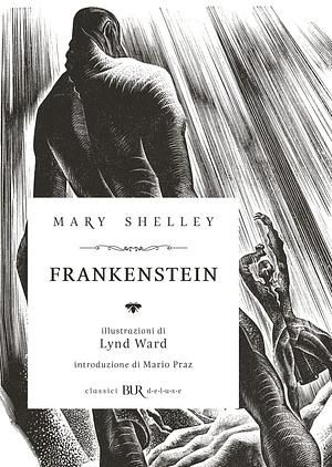 Frankenstein by Mary Shelley