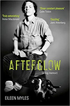 Afterglow (a Dog Memoir) by Eileen Myles