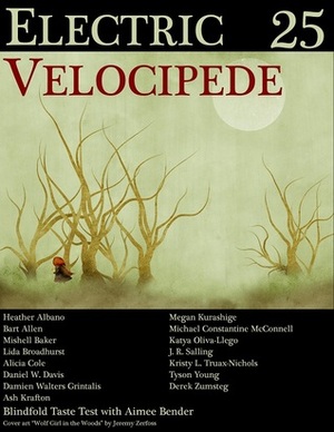 Electric Velocipede 25 by J.R. Salling, Bart Allen, Ash Krafton, Tyson Young, Derek Zumsteg, Michael Constantine McConnell, Lida Broadhurst, Alicia Cole, Megan Kurashige, Katya Oliva-Llego, John Klima, Heather Albano, Kristy L. Truax-Nichols, Daniel W. Davis, Aimee Bender, Mishell Baker, Damien Angelica Walters