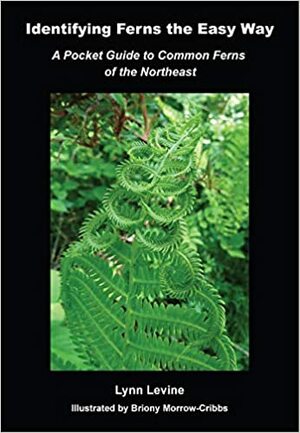 Identifying Ferns the Easy Way: A Pocket Guide to Common Ferns of the Northeast by Lynn Levine, Cliff Adler