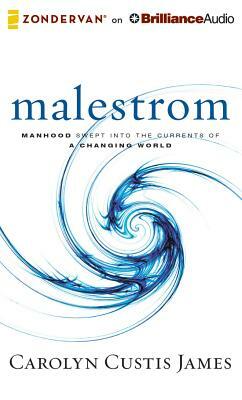 Malestrom: Manhood Swept Into the Currents of a Changing World by Carolyn Custis James