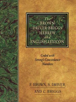 Bdb Hebr-Eng Lexicon by S. R. Driver, Francis Brown, Charles A. Briggs