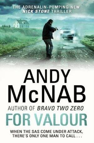 For Valour by Andy McNab