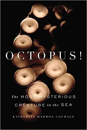 Octopus!: The Most Mysterious Creature in the Sea by Katherine Harmon Courage