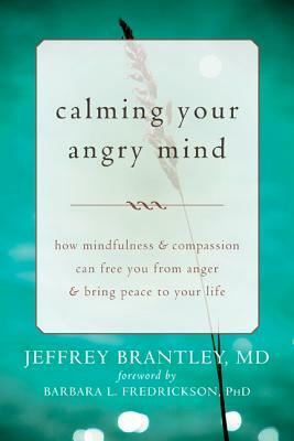 Calming Your Angry Mind: How Mindfulness & Compassion Can Free You from Anger & Bring Peace to Your Life by Jeffrey Brantley