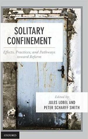 Solitary Confinement: Effects, Practices, and Pathways Toward Reform by Jules Lobel, Peter Scharff Smith