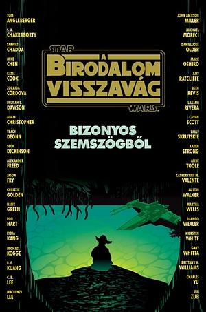 Star Wars: A Birodalom visszavág – Bizonyos szemszögből by Elizabeth Schaefer