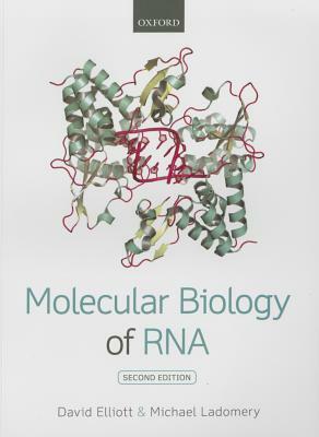 Molecular Biology of RNA by David Elliott, Michael Ladomery