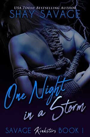 One Night in a Storm by Shay Savage