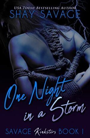 One Night in a Storm by Shay Savage