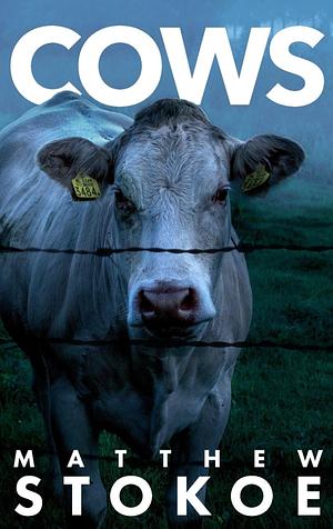 Cows by Matthew Stokoe