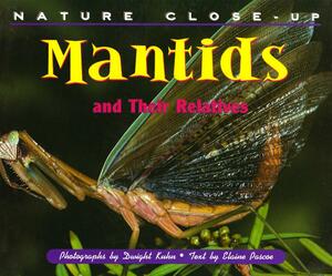 Mantids and Their Relatives by Elaine Pascoe