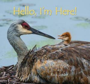 Hello, I'm Here! by Helen Frost