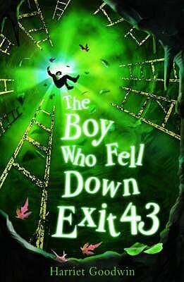 The Boy Who Fell Down Exit 43 by Harriet Goodwin