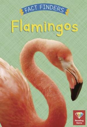 Flamingos by Katie Woolley