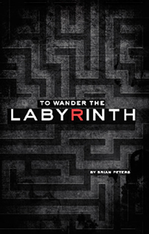 To Wander The Labyrinth by Brian Peters