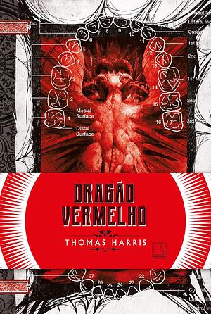 Dragão Vermelho by Thomas Harris