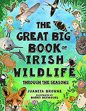 The Great Big Book of Irish Wildlife: Through the Seasons by Juanita Browne