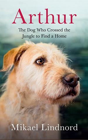 Arthur: The dog who crossed the jungle to find a home by Mikael Lindnord